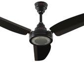 Royal Ceiling Fan Price